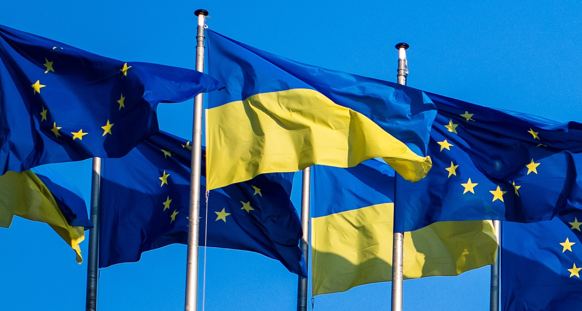 Ligne droite du 15 novembre 2023