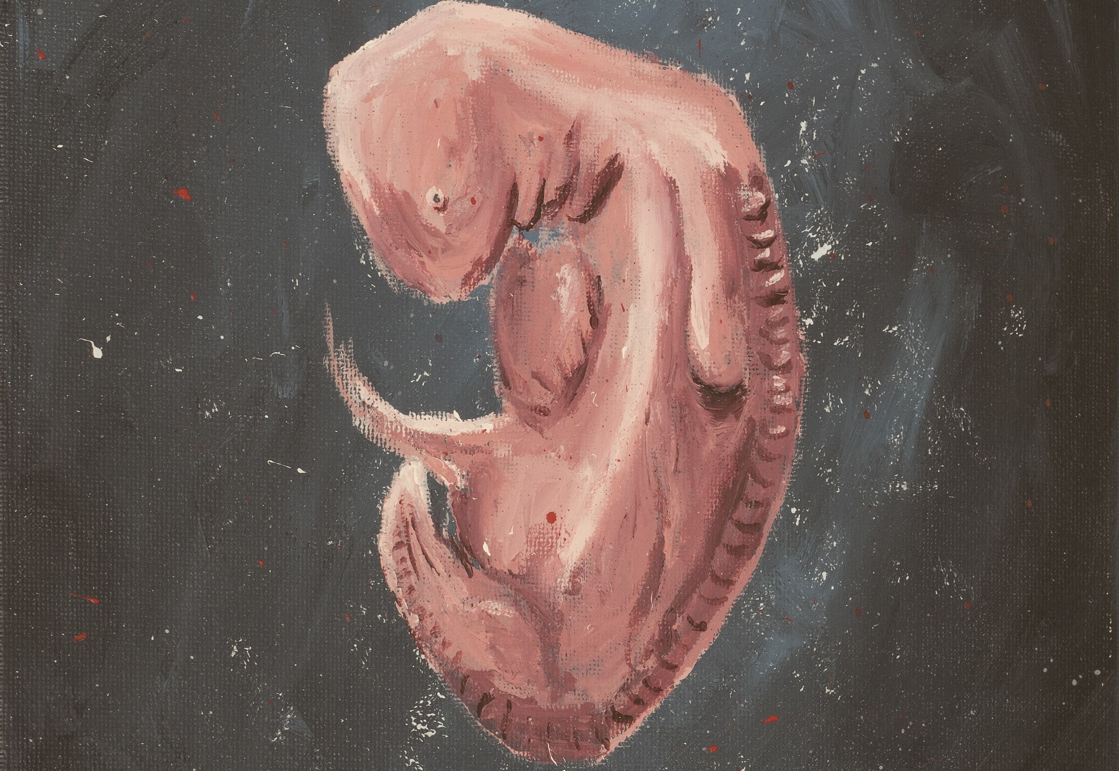 La dernière ligne droite du 1er mars 2024