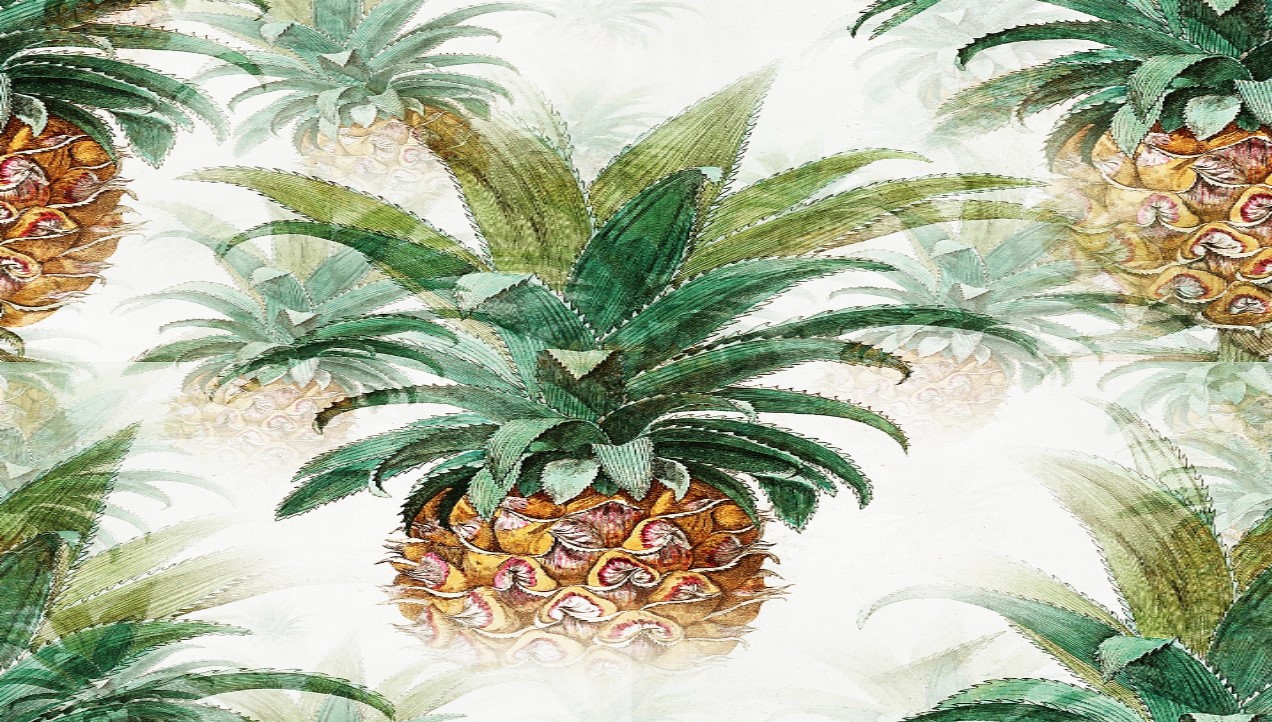 Libre journal de la gastronomie et du bien-être du 4 février 2024 : « Les pieds dans le plat : l&rsquo;ananas »