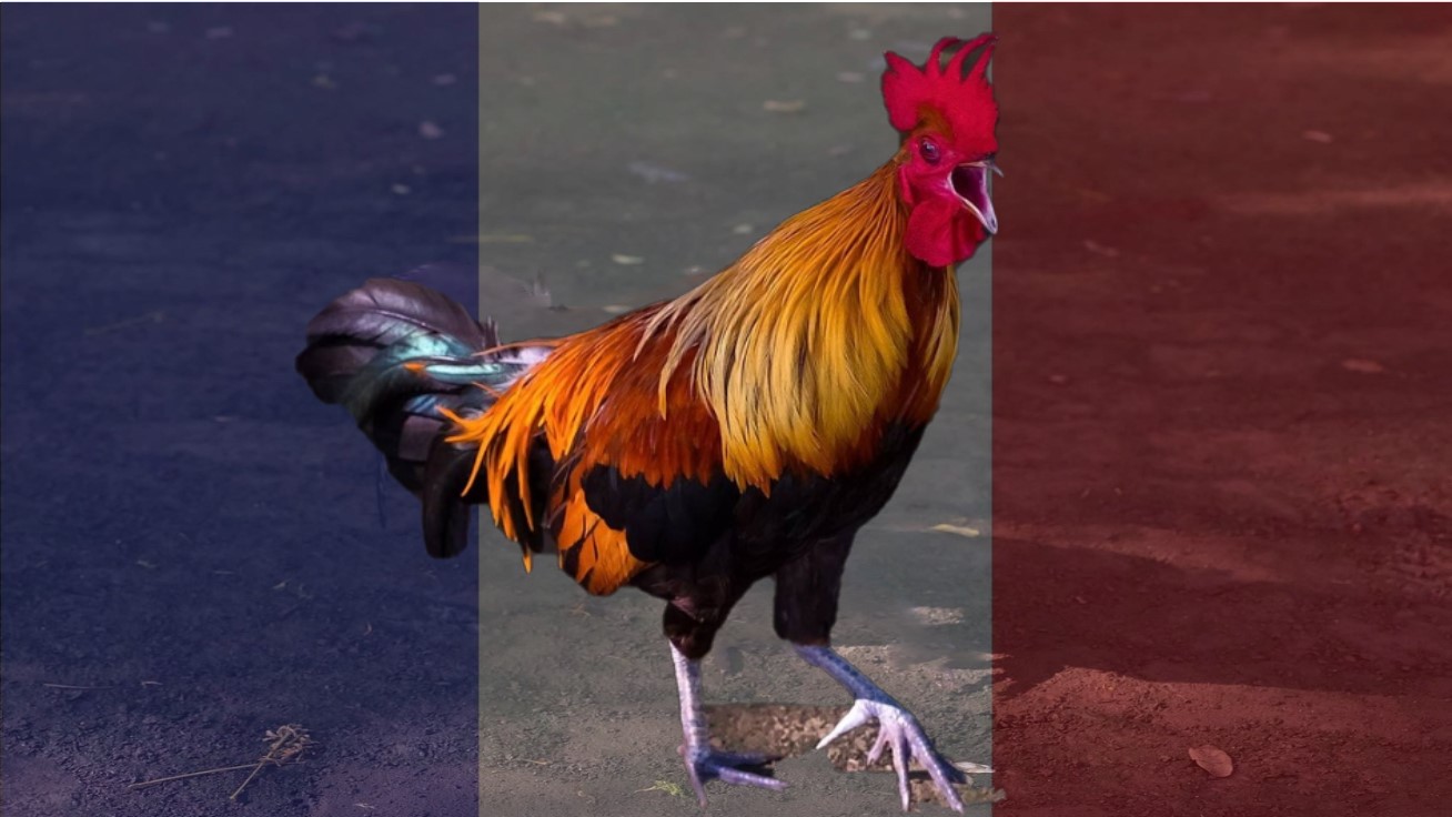 Libre journal d&rsquo;Hugues Sérapion du 30 mars 2024 : « La France peut-elle se redresser ? »