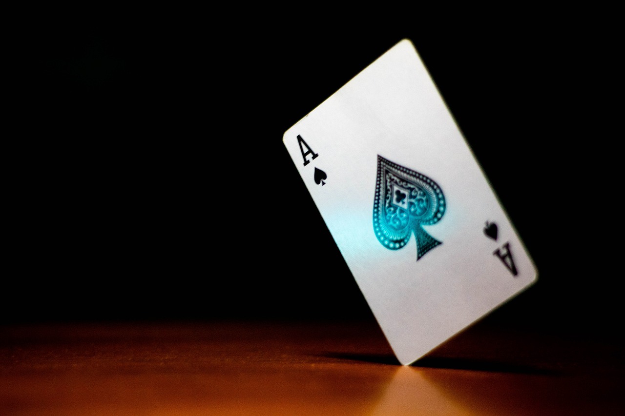 Le florilège des arts du 17 mai 2024 : « Le matin des magiciens »