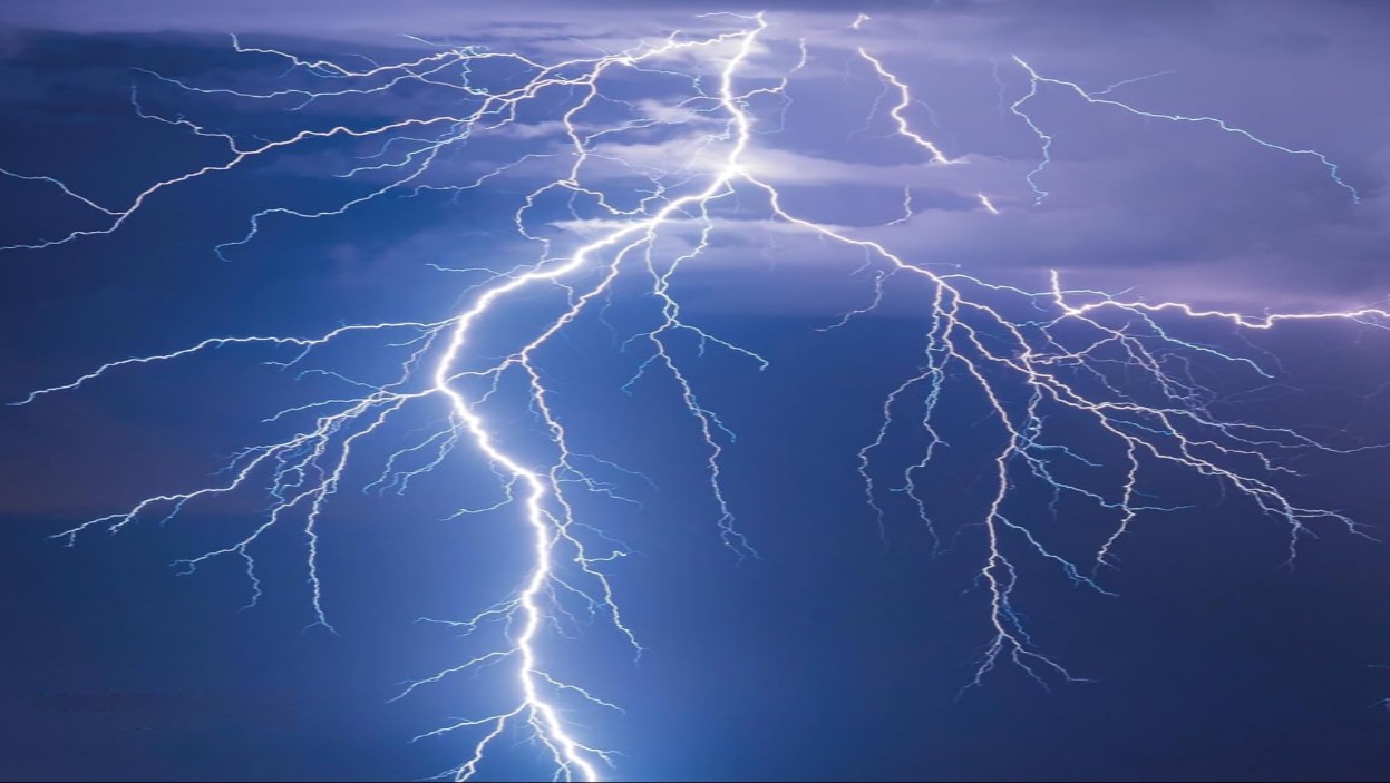 Libre journal de Salsa Bertin du 8 juin 2024 : « On file tous au Grenier du rire ; La fête du vivre autonome ; Un thérapeute nous parle de l&rsquo;origine des consciences »