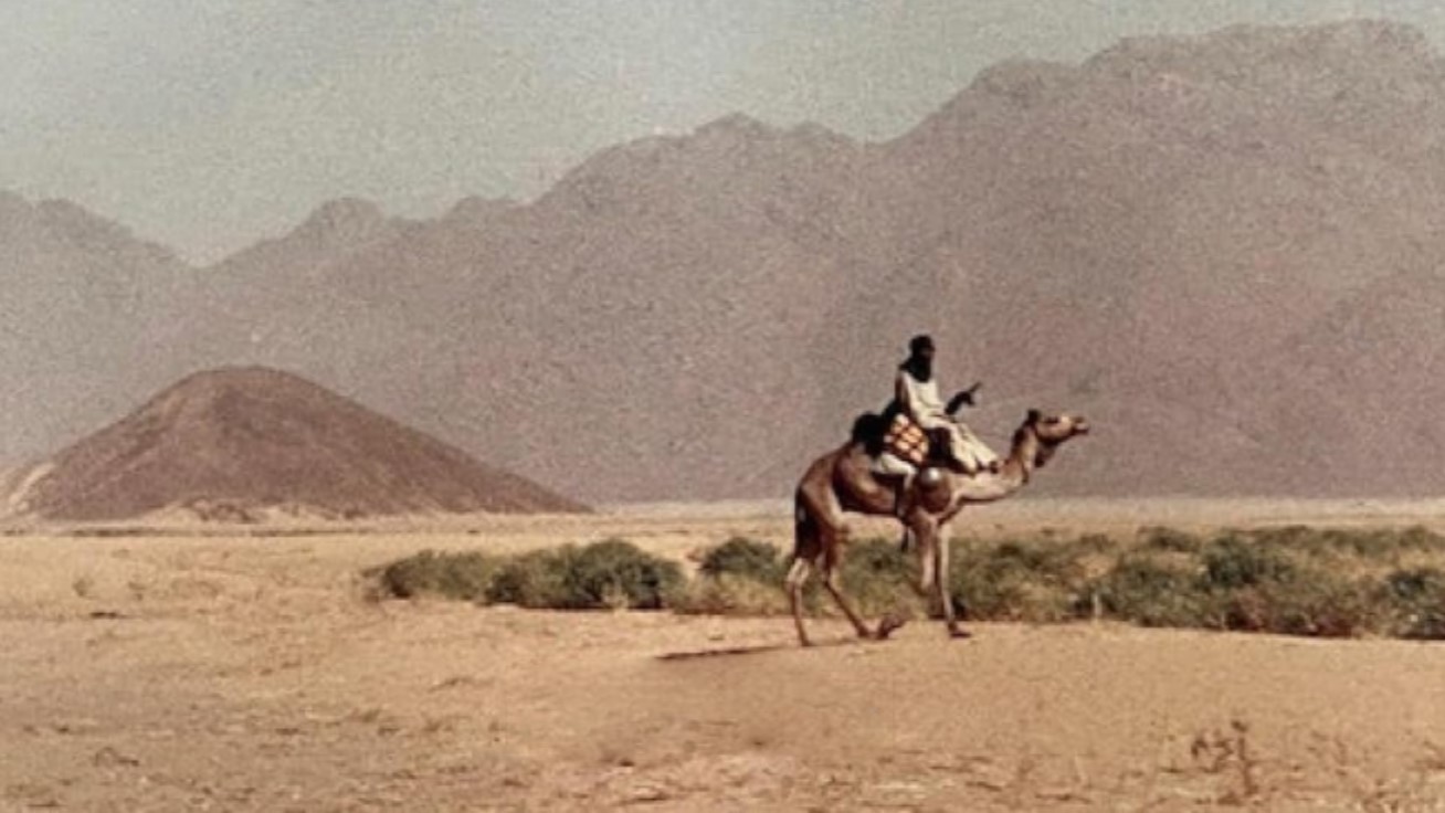 Populaire, vous avez dit populaire ? du 16 juillet 2024 : « Afrique adieu ! »