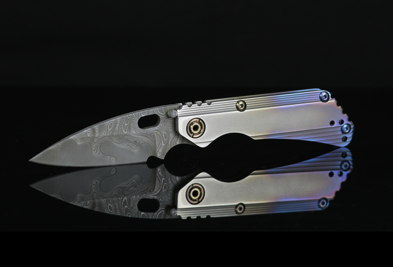 Club de la presse de RC du 27 septembre 2024 : « Meurtre de Philippine ; La droite française ; Le lobby anti-nucléaire ; Les couteaux de poche »