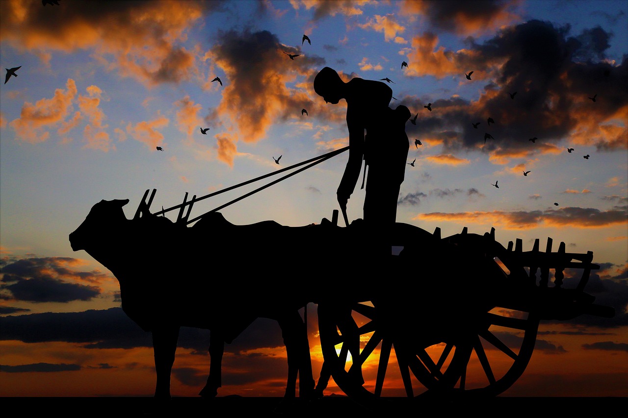 Libre journal de Salsa Bertin du 18 janvier 2025 : « Nouvelle année : Pour une année 2025 combative. Des exemples pour tous ! »