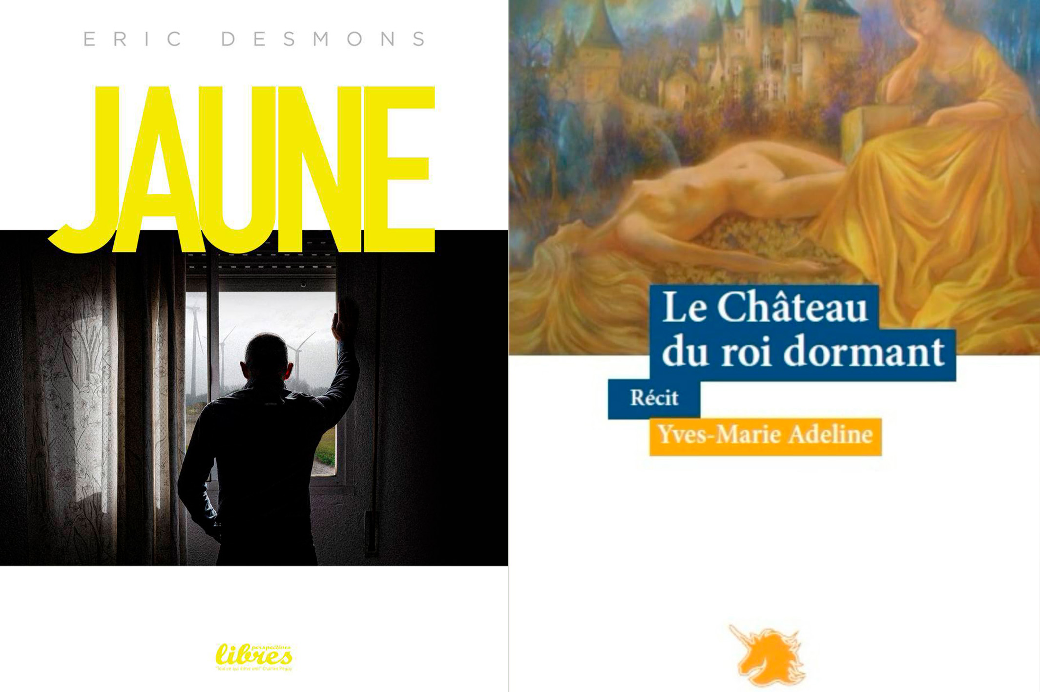 Libre journal du lundi soir 2/2 du 30 juin 2025 : « Une littérature politique »