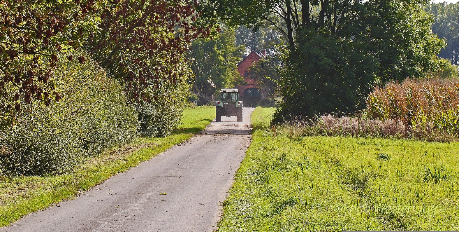 Libre journal de la France profonde du 18 septembre 2025 : « La paysannerie française et son long effacement ; Promenades dans le Paris religieux : la basilique du Sacré-Cœur de Montmartre »