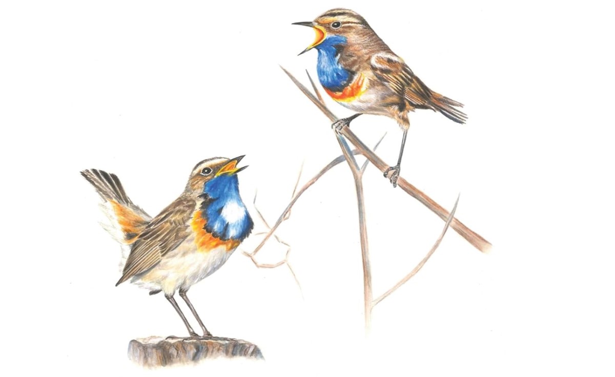 Libre journal d&rsquo;Alexandre Apreval et Antoine Assaf du 15 novembre 2025 : « Littérature enfantine ; La ville de Rome »