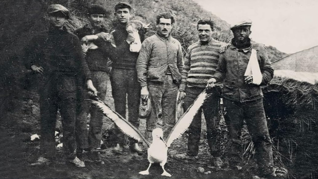 Libre journal des amitiés françaises du 30 novembre 2025 : « Drame sur l’île Saint-Paul ; La vie et l’œuvre d’Hildegarde de Bingen » Libre journal des amitiés françaises du 30 novembre 2025 : « Drame sur l’île Saint-Paul ; La vie et l’œuvre d’Hildegarde de Bingen »