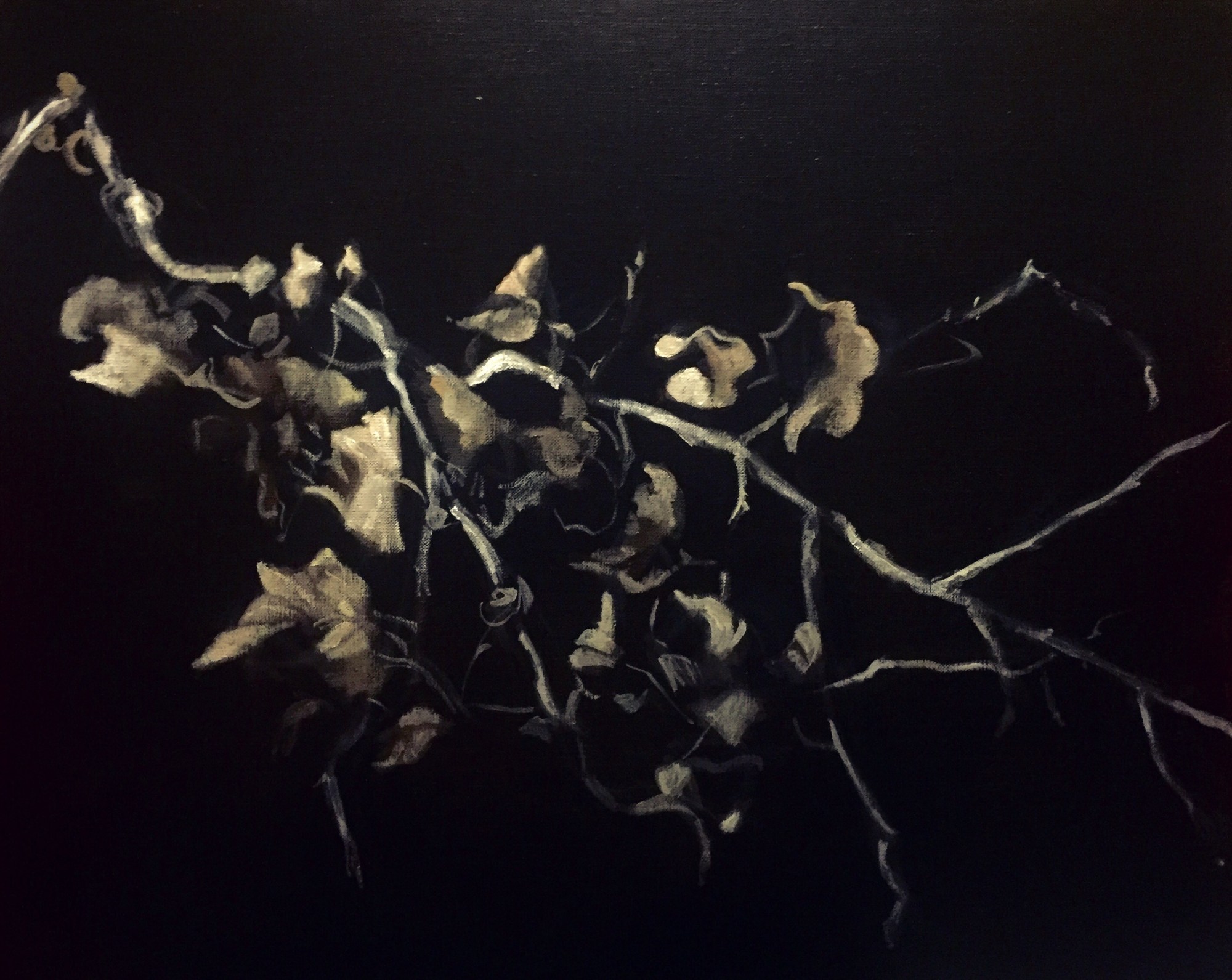 Libre journal d&rsquo;Aude de Kerros du 18 décembre 2025 : « Récit d&rsquo;une aventure en cours »