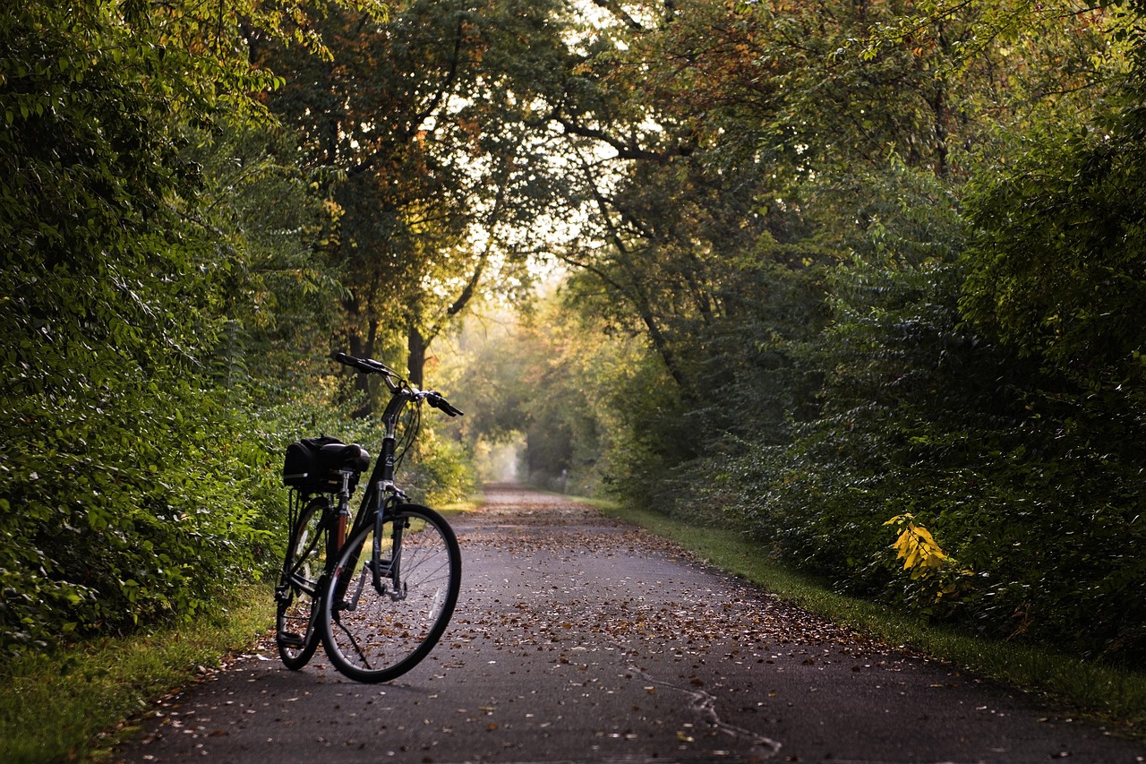 « Promenade et flâneries au domaine de poésie du 19 décembre 2025 : « La bicyclette poétique »