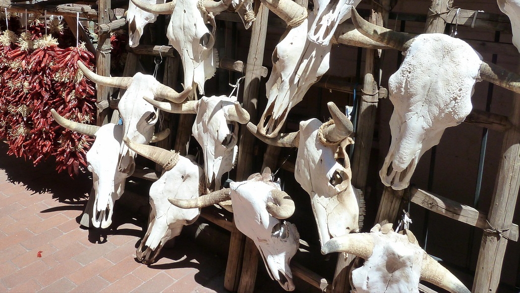 Libre journal de géopolitique profonde du 31 janvier 2026 : « Les mensonges sur la DNC bovine »