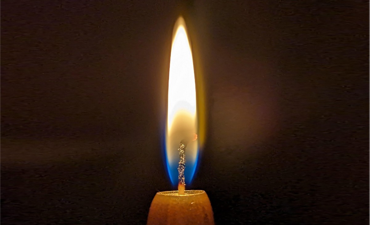 Liturgie et musique sacrée du 1er février 2026 : « La Chandeleur »