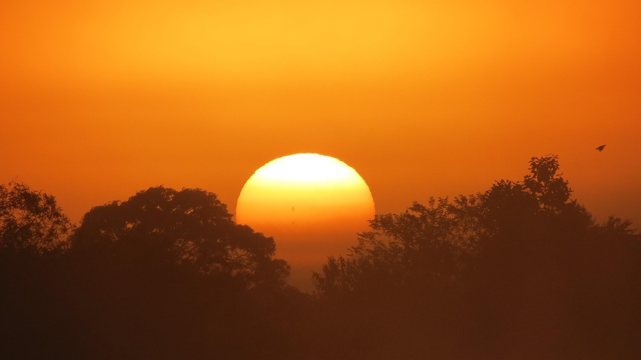Libre journal d&rsquo;Hugues Sérapion du 31 janvier 2026 : « La vérité sur les conférences sur le climat »