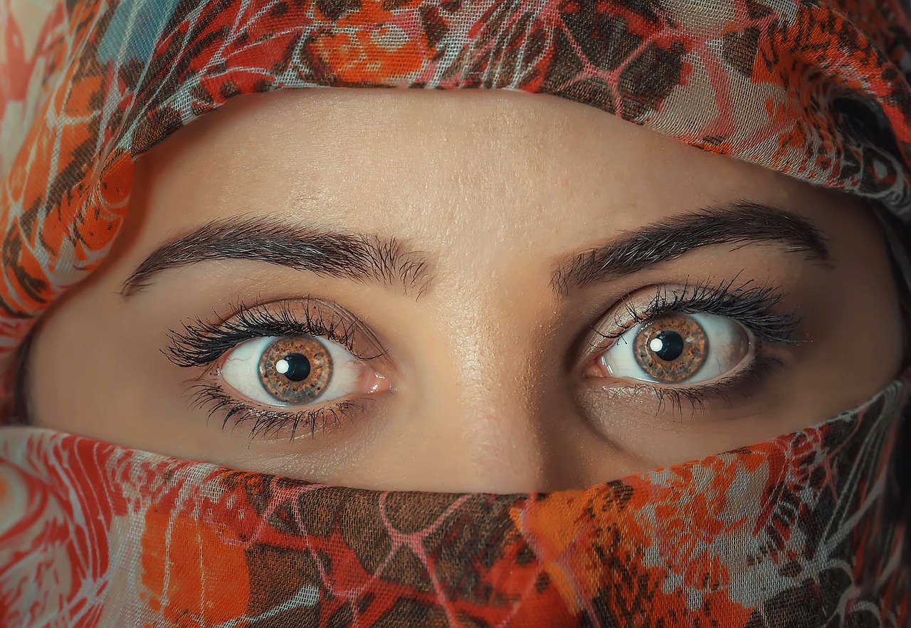 Libre journal des controverses du 25 avril 2026 : « Enquête sur l’emprise islamiste de l’invisible » episode artwork