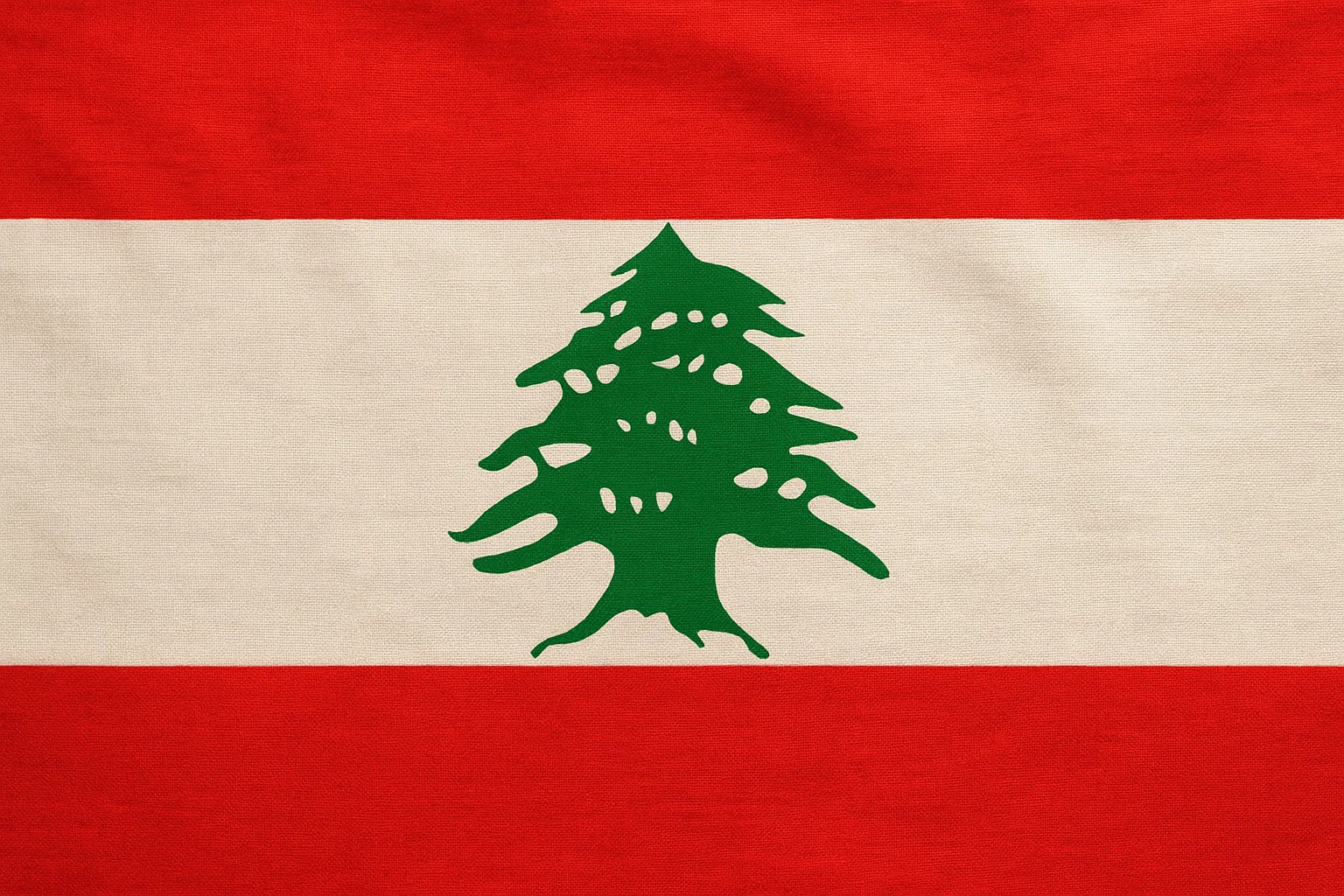 Libre journal de la francophonie heureuse du 2 juin 2026 : « En direct du Liban, témoignages exceptionnel pour décrypter la situation sur place et analyser les relations franco-libanaises » episode artwork